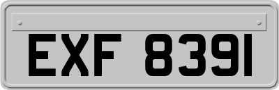 EXF8391