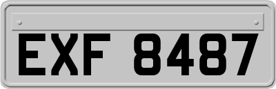 EXF8487