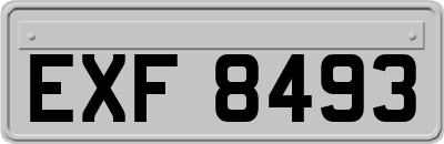 EXF8493