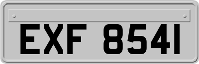 EXF8541
