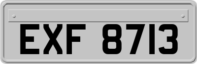 EXF8713