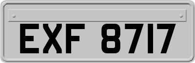 EXF8717