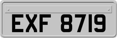 EXF8719