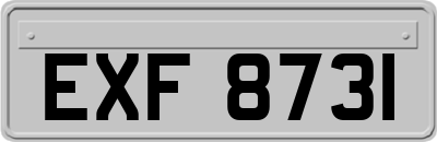 EXF8731