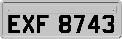 EXF8743