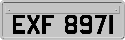 EXF8971