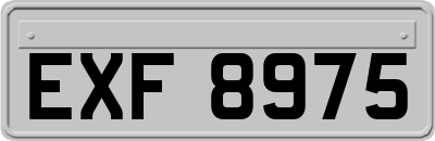 EXF8975