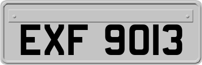 EXF9013