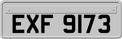 EXF9173