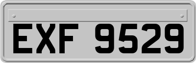 EXF9529