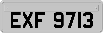 EXF9713