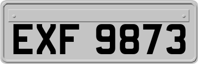 EXF9873