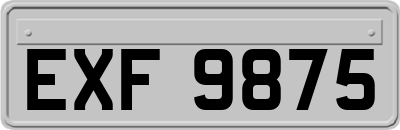 EXF9875