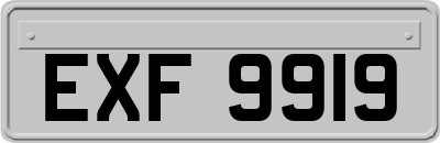 EXF9919