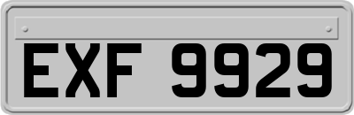 EXF9929