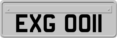 EXG0011