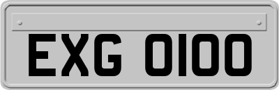 EXG0100