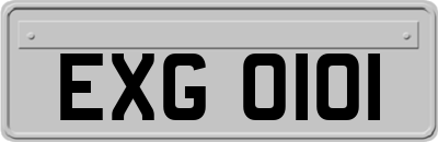 EXG0101