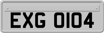 EXG0104