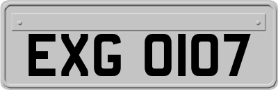 EXG0107