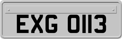 EXG0113