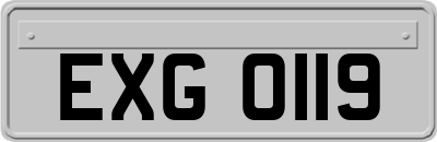 EXG0119