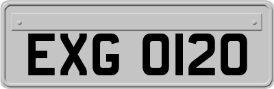 EXG0120