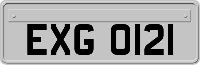 EXG0121