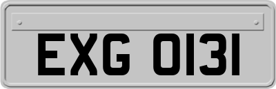 EXG0131