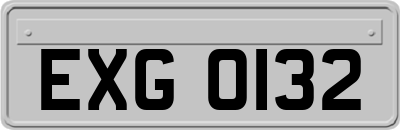 EXG0132
