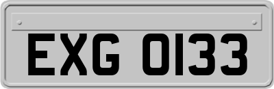 EXG0133