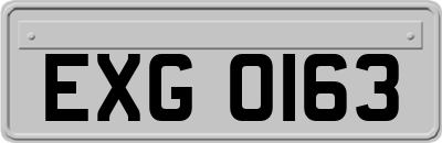 EXG0163