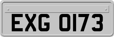 EXG0173