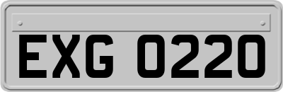 EXG0220