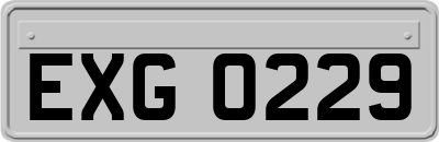 EXG0229