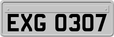 EXG0307