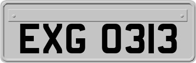 EXG0313