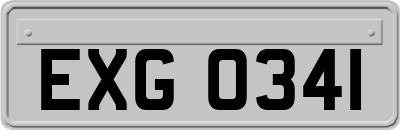 EXG0341