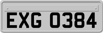 EXG0384