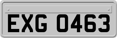 EXG0463