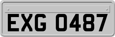 EXG0487
