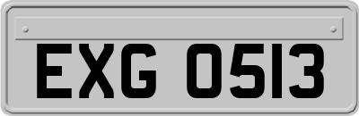 EXG0513