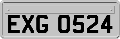 EXG0524