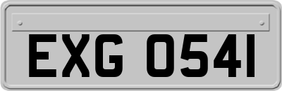 EXG0541