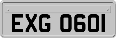 EXG0601