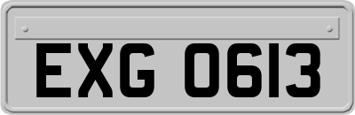 EXG0613