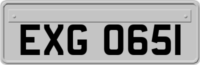EXG0651