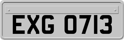 EXG0713