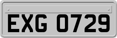 EXG0729