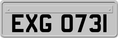 EXG0731